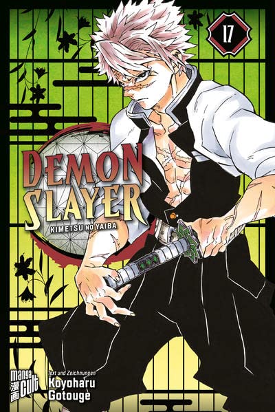 Demon Slayer - Kimetsu no yaiba 17 Taschenbuch – 1. Dezember 2022
