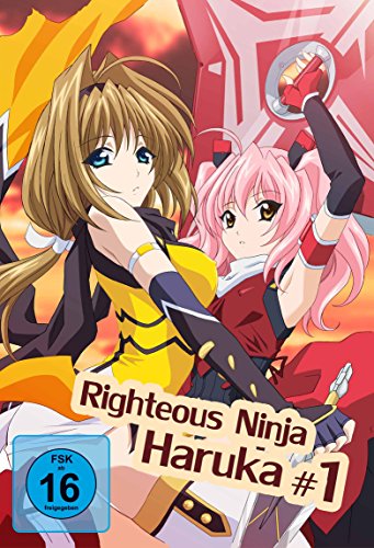 Righteous Ninja Haruka 1 (Hentai Movie) | Dein Otaku Shop für Anime, Dakimakura, Ecchi und mehr