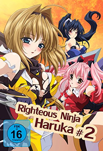 Righteous Ninja Haruka 2 (Hentai Movie) | Dein Otaku Shop für Anime, Dakimakura, Ecchi und mehr