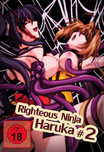 Righteous Ninja Haruka 2 (Hentai Movie) 18 | Dein Otaku Shop für Anime, Dakimakura, Ecchi und mehr